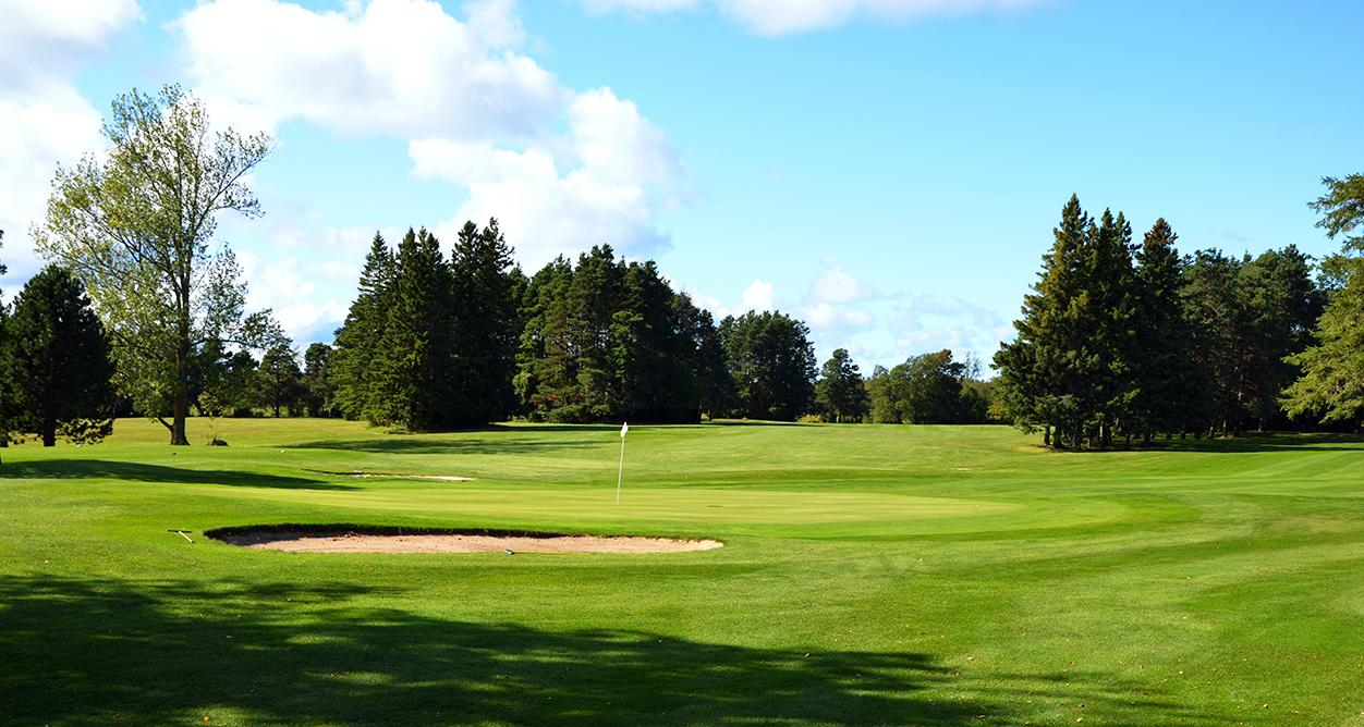 Pinewoods Golf at Sauble Beach - The different types of basic golf