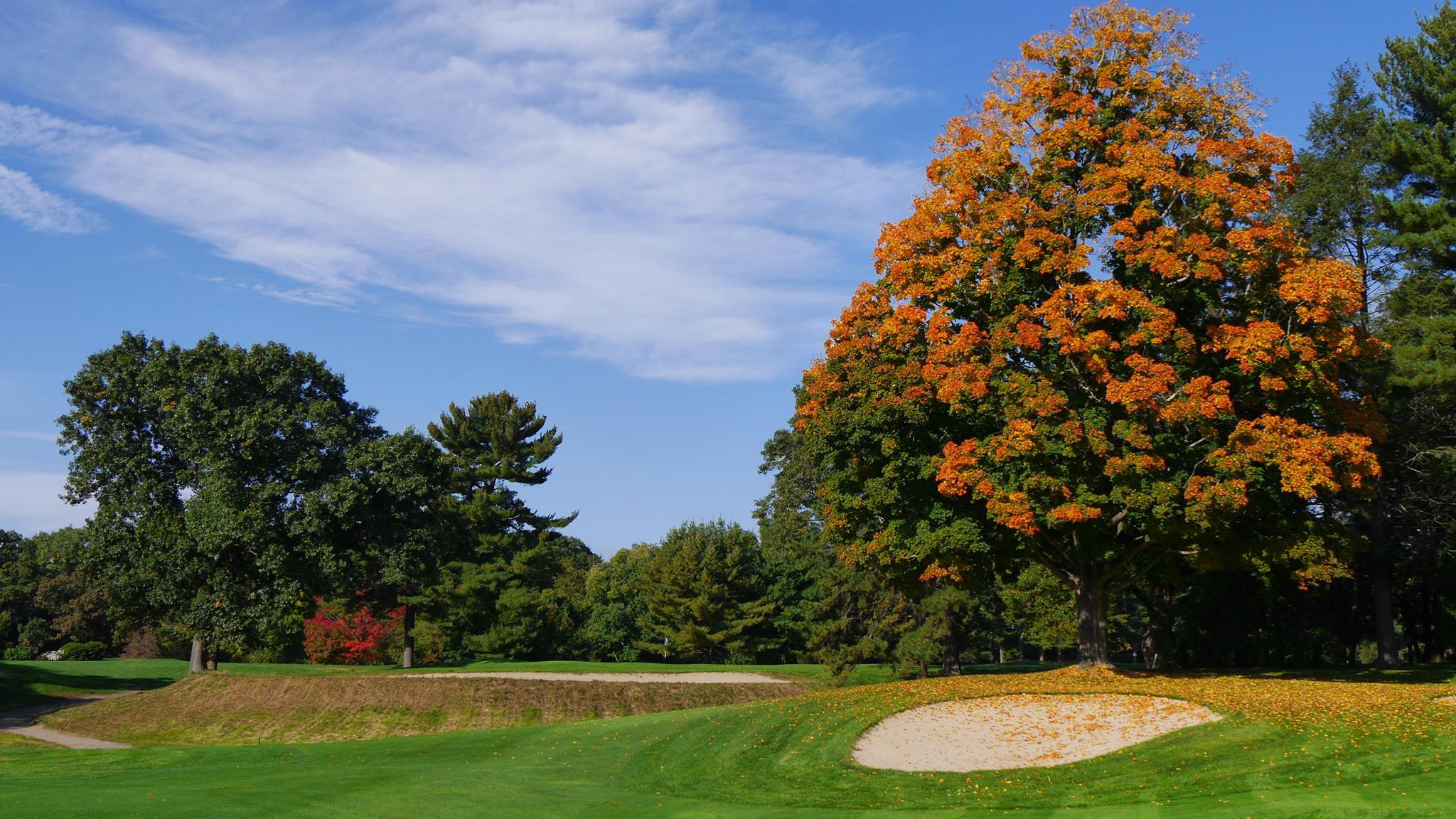 Book Nehoiden Golf Club Tee Times in Wellesley, Massachusetts